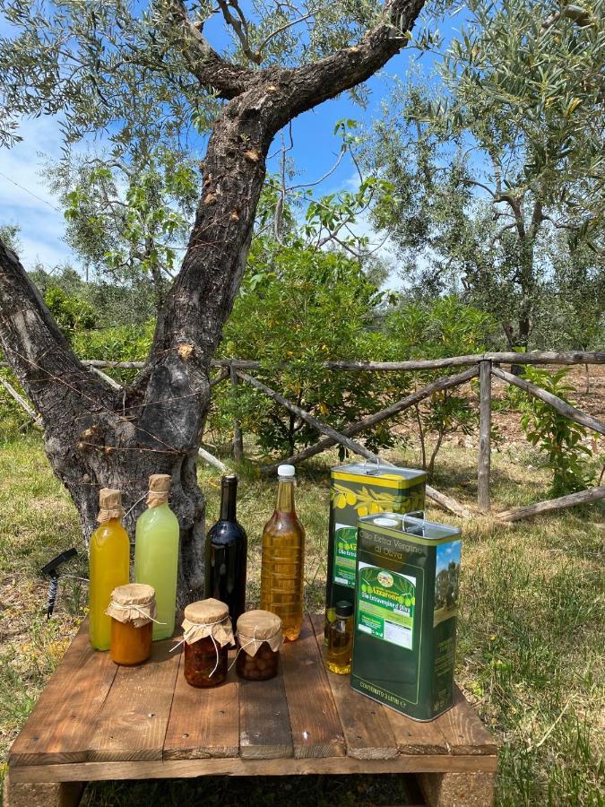 Agriturismo Azzarone فيستَ المظهر الخارجي الصورة