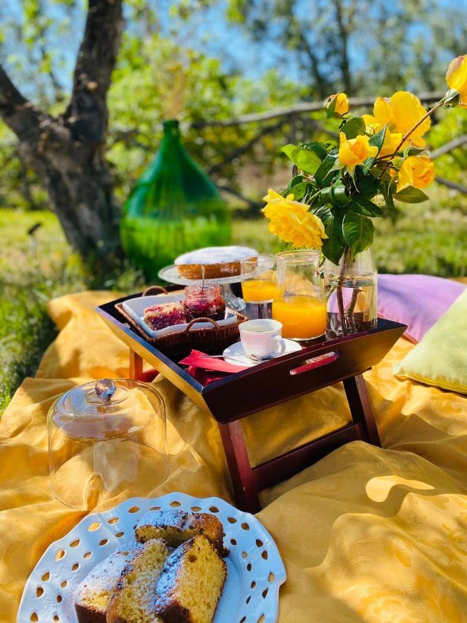 Agriturismo Azzarone فيستَ المظهر الخارجي الصورة