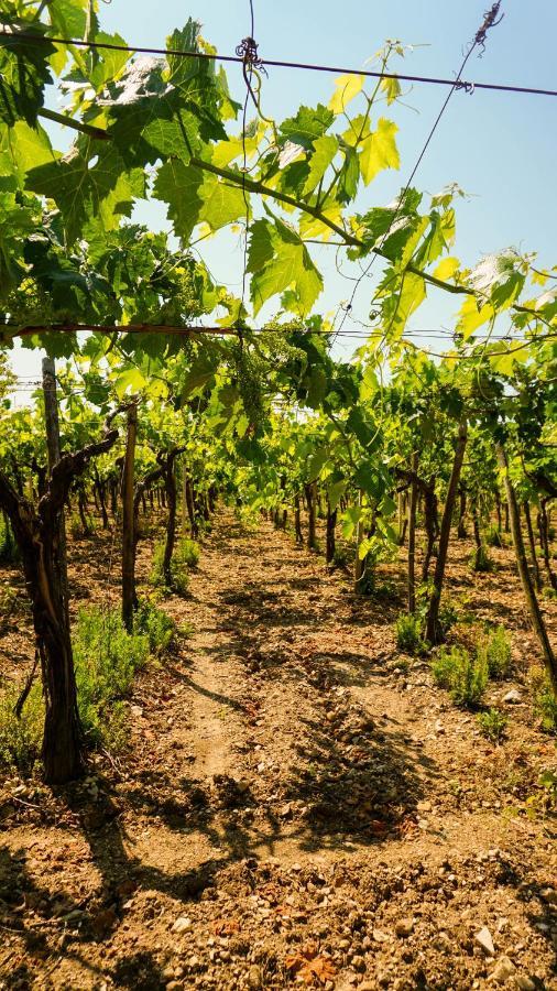Agriturismo Azzarone فيستَ المظهر الخارجي الصورة